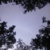 Foto von Patricia Reed