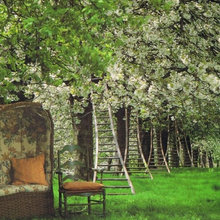 Bénédictions: Groves & Orchards