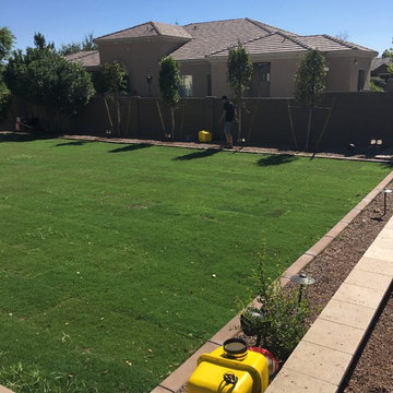 Outdoor Entertainment