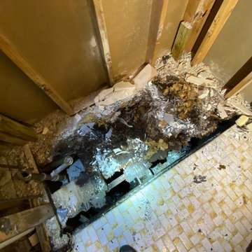 Bathroom Remodel and Subfloor Replacement