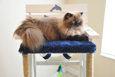 Lifeguard cat chair 04
