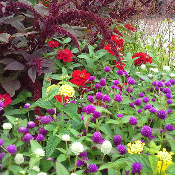 Seasonal Color Displays
