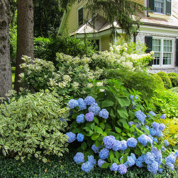 Needham Residence