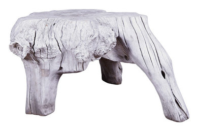 Organic Form Bleached Teak Wood End Table