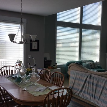 Silhouette by Hunter Douglas
