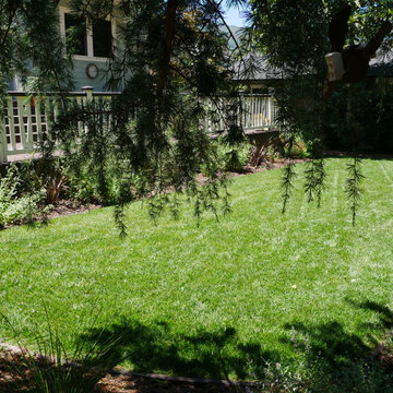 Los Gatos craftsman