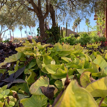 Skysong Culinary Gardens By Agriscaping