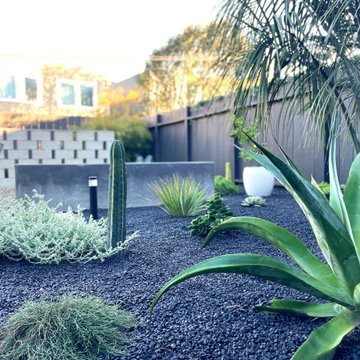 Mexico City Inspired Garden