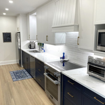 Bloor West Galley Kitchen