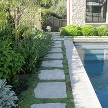 Landscaping - Back Yard