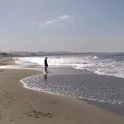 Sean Whittier's photo
