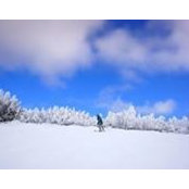 Natalie Norris's photo