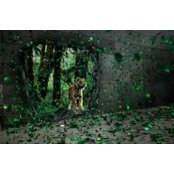 Foto di Karthik King Maker