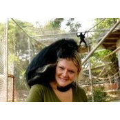 Meridith Kohut's photo