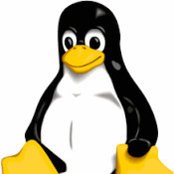 King Linux's photo