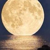 Lorena Maciel's photo