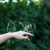 Barbara Ulaga's photo