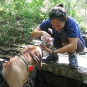 Alejandra Prusaitis's photo