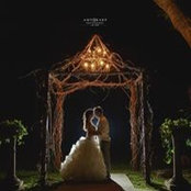 Amber Webster's photo