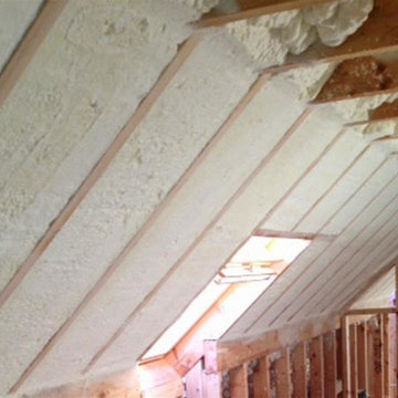 Hermosa Beach - Attic Insulation Removal and Replacement