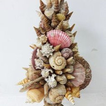 shell art