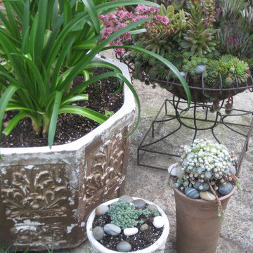 My Garden