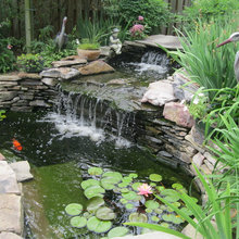 outdoor garden ideas