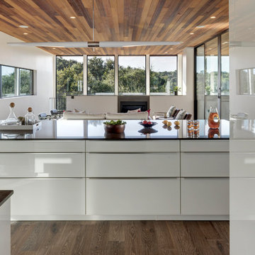 Austin, Texas Modern Home-Alaska White Oak