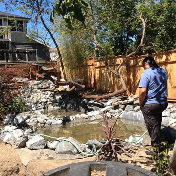 Zen Water project - ongoing