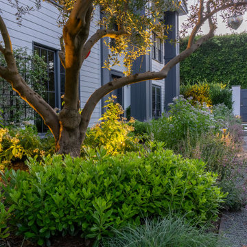 Mandeville Canyon Modern Oasis