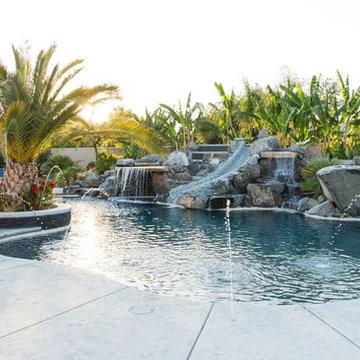 Tropical Paradise