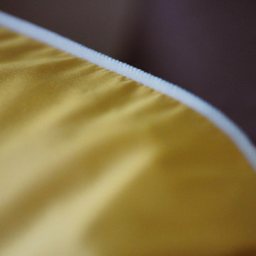 Photographer; Upholstery Details