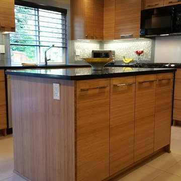 Contemporary Kitchen remodel