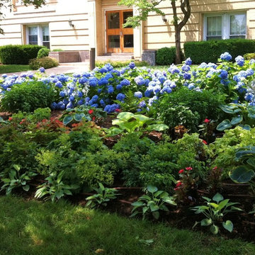 Public planting in the shade