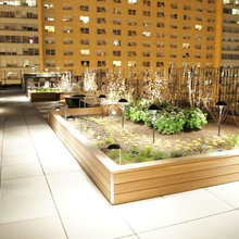 OUTDOOR ideas