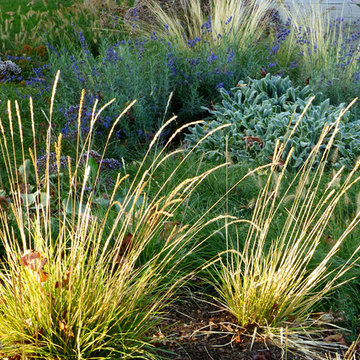Naturalistic Transformation
