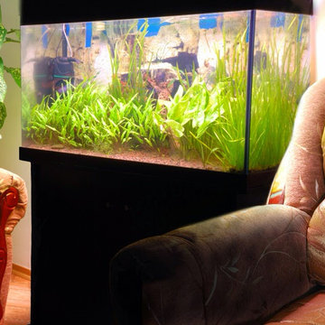 Custom Residential Aquarium Installations