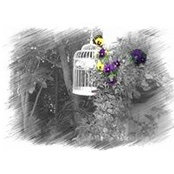 Moira Lucas's photo