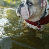 Foto von Shelli Wade