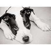Brady McShady's photo