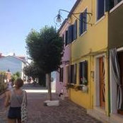 Foto von Madeleine Rose