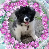 Amy Heglin's photo