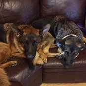 Carol Seeger's photo