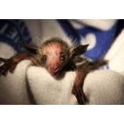 Amy R's photo