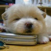 Trần Trang's photo