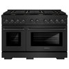 ZLINE 48" Gas Range in Black Stainless with Brass Burners SGRB-BR-48