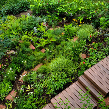 Overhead of natural garden with a touch of Arizona style