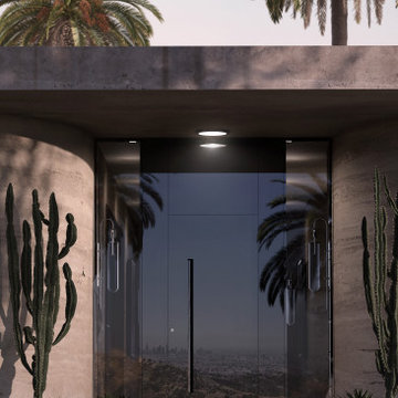 Modern Glass Entry Door with Real Stone & Steps Reflection