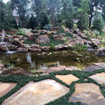 Ecosystem Ponds and Water Garden Service By Continental Ponds, Oklahoma City Met