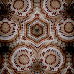 Plywood texture patterns - Prints And Posters